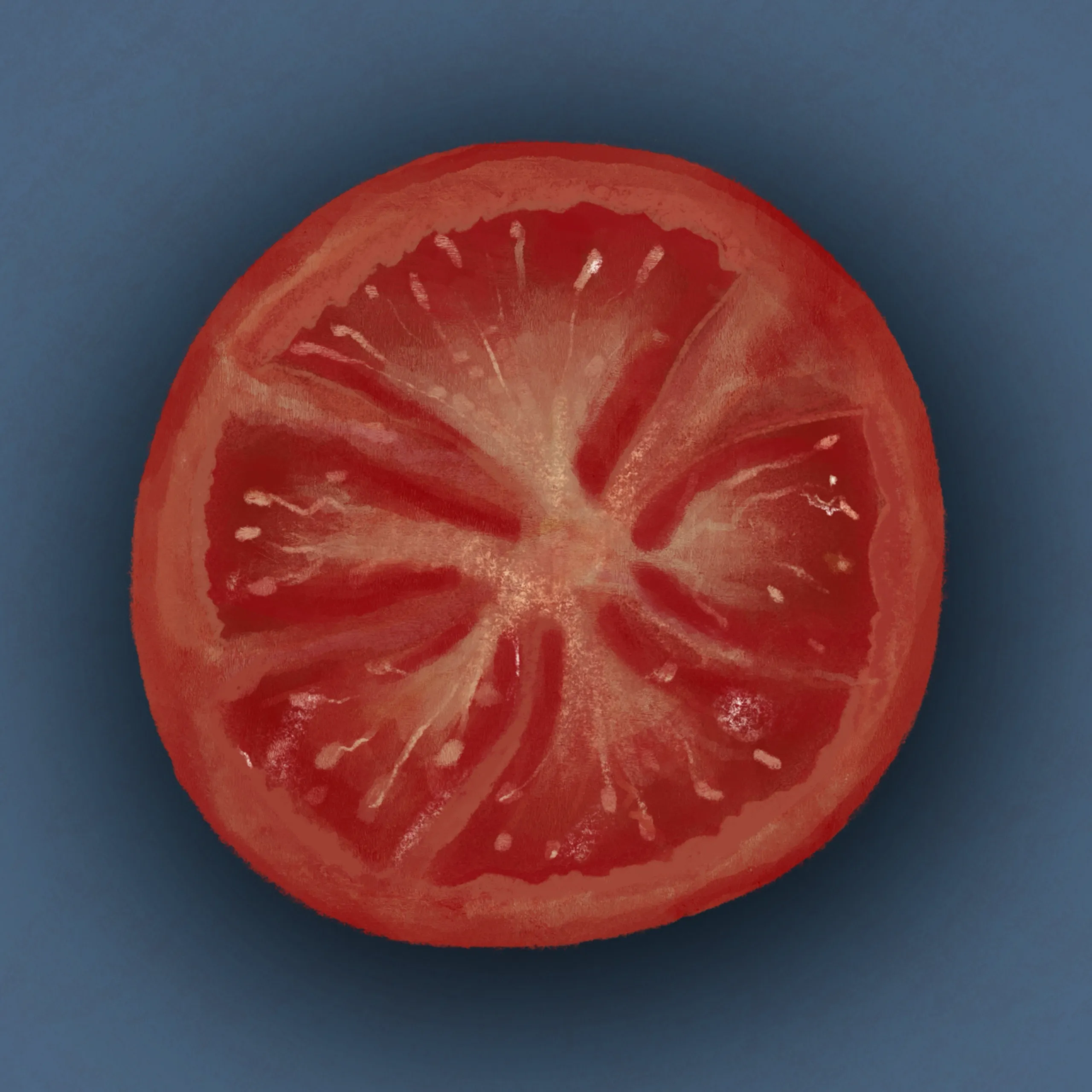 Tomato and Onion